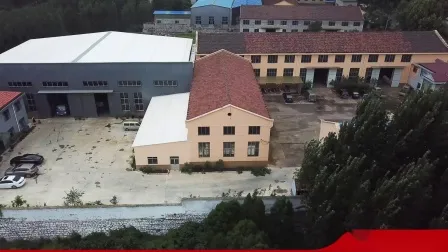 Liquid Ring Vacuum Pump (2BE 2SK 2BV) Oil-Less Piston/Nash/Sliding Vane Rotary Pump