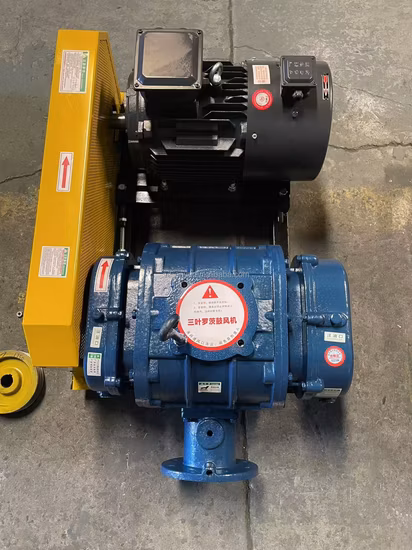 Air Roots Blower Vacuum Pump for Sewage Treatment